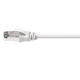 LI-SC6ASFTP-CF-020G.png
