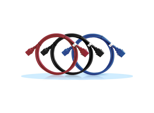 Raritan SecureLock 6-Pack  1.5M