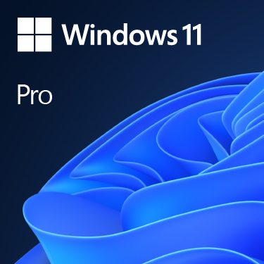 Windows 11 Pro 64-Bit License(2 CPU)with Installation DVD